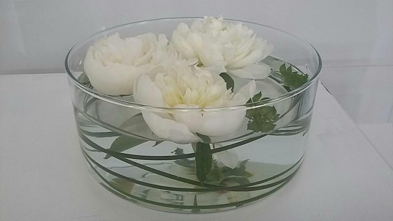 דירות ורונה Amami Alfredo מראה חיצוני תמונה